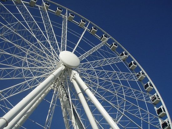 Wheel Of Brisbane