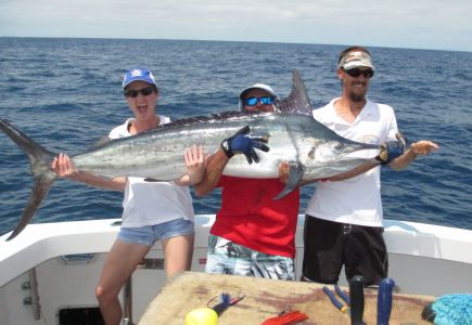 Frenzy Charters Reef And Game Fishing 