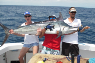 frenzy-charters-reef-and-game-fishing